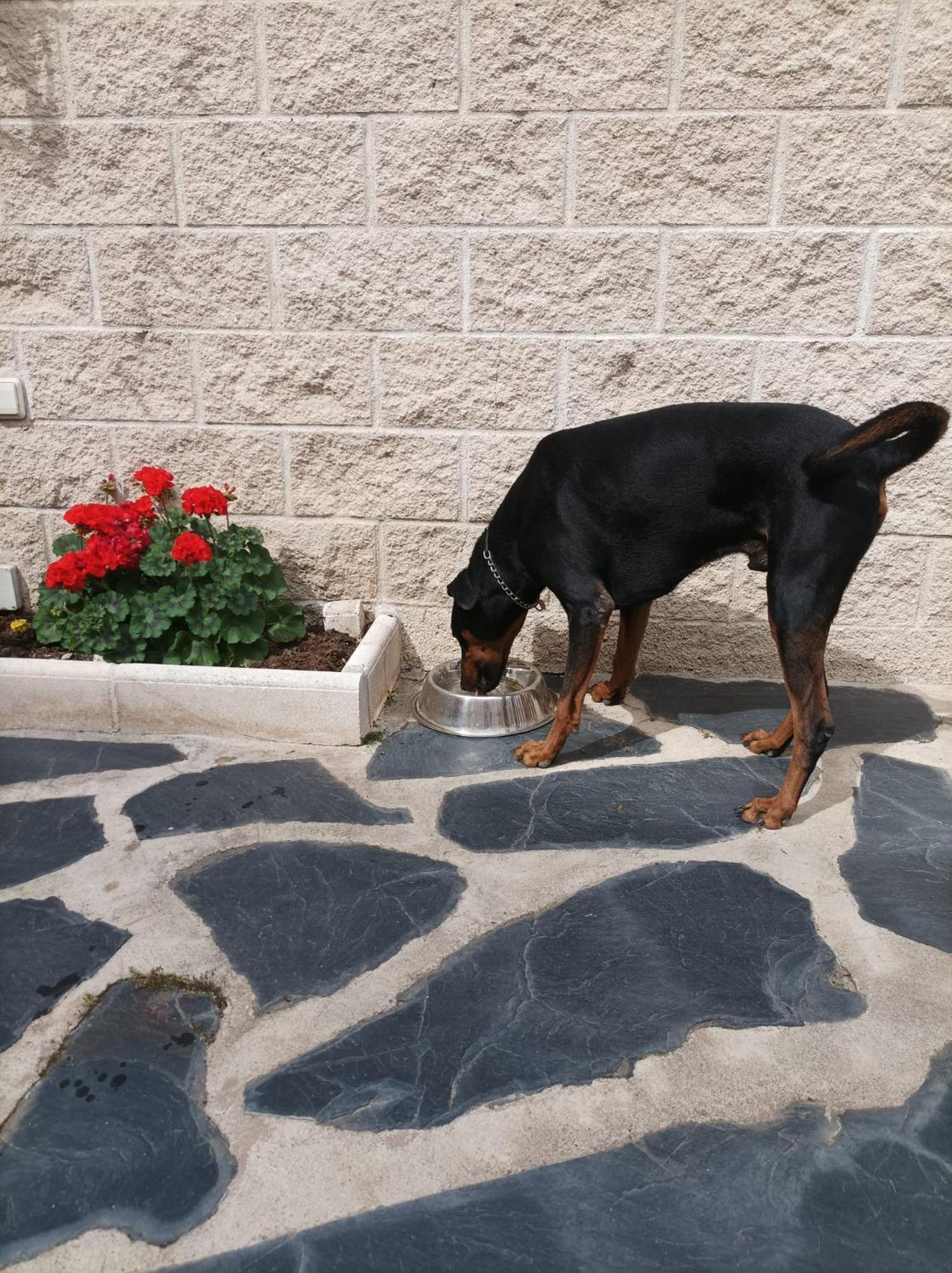 Willa La Madriguera De Toledo Bargas Zewnętrze zdjęcie